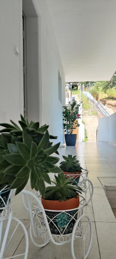 Hotel Kiperi Exclusive Párga Zewnętrze zdjęcie